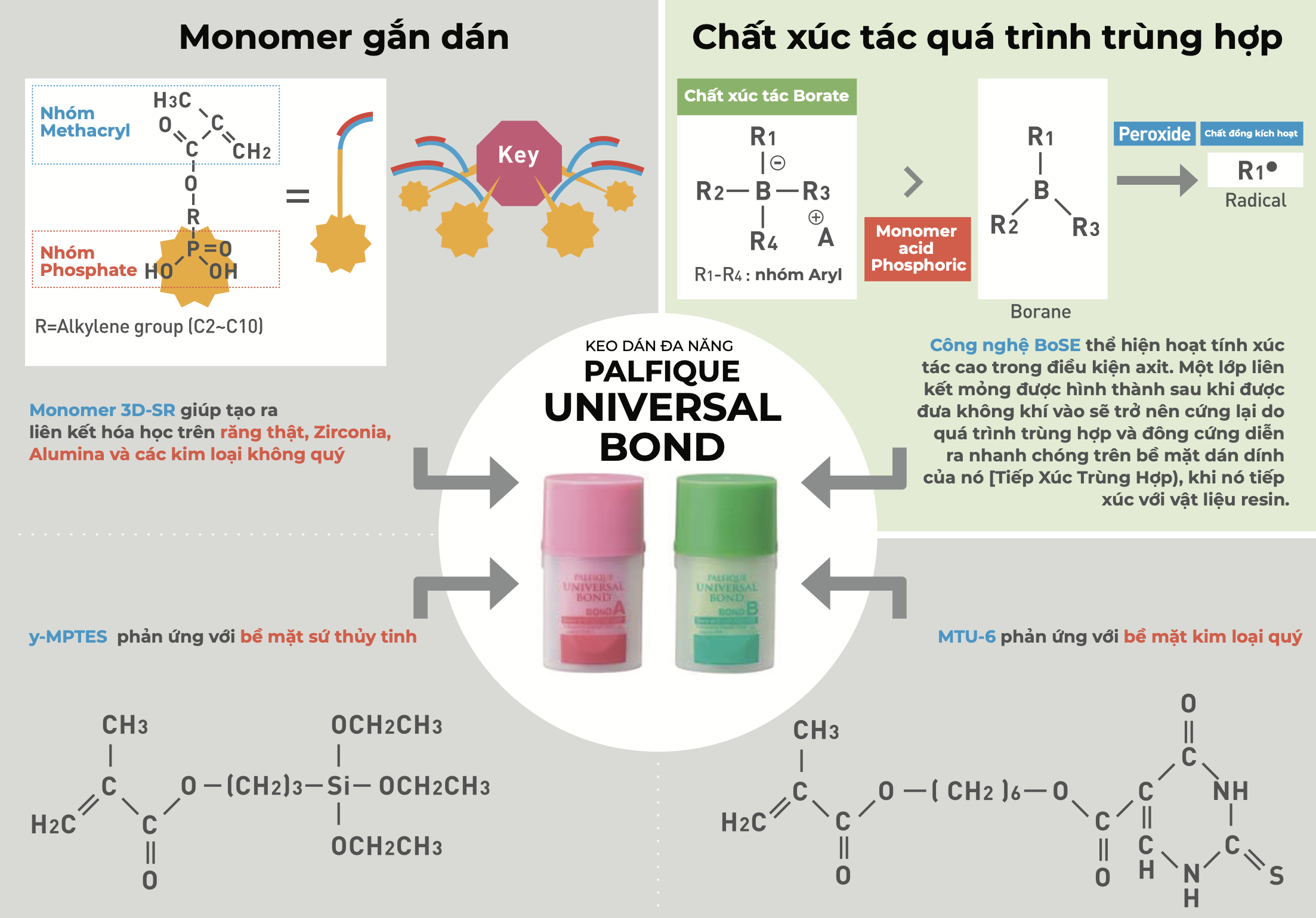 Keo dán đa năng Palfique Universal Bond Kit - Tokuyama